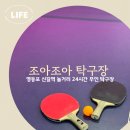 조아조아탁구장