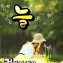 체리핑크 이미지