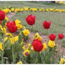 아산시-2011-010 이미지