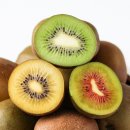 필라테스C 이미지