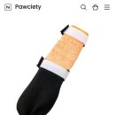 도그먼트 이미지