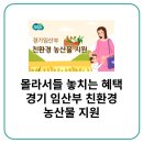 경기도 임산부 지원, 몰라서들 놓치는 혜택 경기 임산부 친환경 농산물 지원