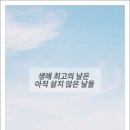 평화지국 이미지
