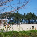 남애초등학교 이미지