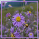 여강길(3-1코스 강천섬길) 이미지