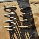 노스게러지 이미지