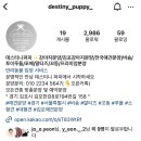 데스티니 퍼피 네이버블로그