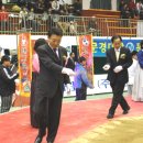 일성 태양광발전소 이미지