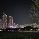 광교호수공원 네이버블로그