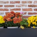 숲속한옥 이미지