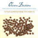 대구애견 이미지