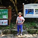 남파랑길86-90코스+서해랑길1-2코스 이미지