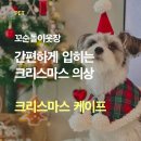 우리집강아지옷장