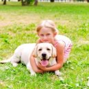 닥터훈트 이미지