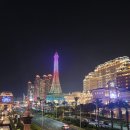 (야간)겨울 밤의 플로리스트(1월) | 마카오 1월 2월 겨울여행 나이트투어 위치 장소 정보