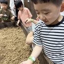 이준이 주말 지낸 이야기 이미지