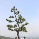 구봉산전망대 이미지