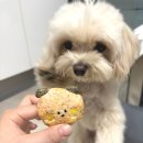 희희퍼피 | 부산 강아지 수제간식집 퍼피맨션 : 초량 댕주먹밥이 있는 강아지 수제간식전문점