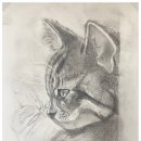 성인수채화(월요일) 이미지