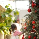 불은면-8 | [두운리] 강화도 애기와 함께가기 좋은 카페 20개월아기 방문 후기