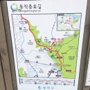 서울 흑석동 숨겨진 도심속 사찰 달마사 이용시간 및 이용요금