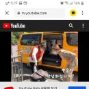 반송1동-19 이미지