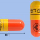 콜그린 - 속초시 중앙시장로 3 | 콜그린