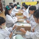 상봉초교 이미지