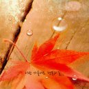 소중한 너라서 이미지