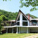 숲속의 산책 이미지