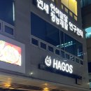 왕지1-4길 | [순천 맛집] 순천 호수공원 맛집하고스! 김치치즈 리조또 꼭 드세요! 이사한 곳 재방문 후기!