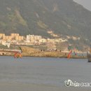 OK낚시
