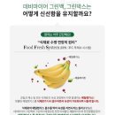 우신전자 | 데비마이어 반찬통 광고인 줄 알고 원형통만 샀다가 전제품 싹 바꾼 솔직 후기(내돈내산)