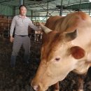 구룡한우농장 이미지