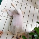 디아크 동물병원 이미지