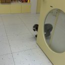 하루멍멍 | 해운대애견미용/ 버블스파로 더 포근해진 하루. 멍멍부띠끄 케어후기