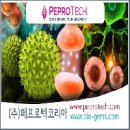 (주)피디젠 Daum카페