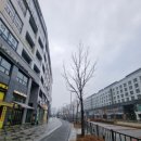 도담동_도램마을 9단지 정류장BRT 이미지