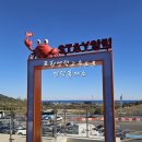 동해안주유소 | 포항영덕고속도로 영덕휴게소 식당 편의시설 2층 바다뷰정원