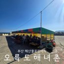 신선왕선 | 부산 오륙도스카이워크 바로 옆 해물 맛집 오륙도해녀촌 - 주차 애견동반 가능