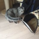 백호여관 이미지