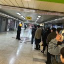 영구 딸기 | 대전 성심당 딸기시루 주말 오픈런 구매 후기 및 주차팁