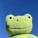 세진골프 이미지