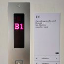 찰랑 | 에브리데이 몬데이 갤러리 전시회 : 무나씨 개인전 &#39;찰랑&#39; 후기