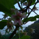 소쿠리농장 이미지