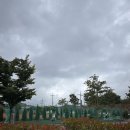 서포해물 | 사천 아이들과 함께 가기 좋은 캠핑장 와따캠핑장