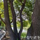 수영강변 이미지