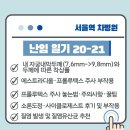 J정약국 | 착상률/에스트라디올·프롤루텍스 주사 및 소론도정·사이클로제스트 질좌제 사용법·부작용 및 후기