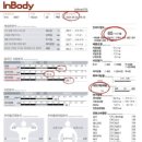 PT회원님 3개월 체지방 -12kg 감량 후기!! / 풍암동PT, 풍암동헬스장