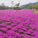 미미루루커피